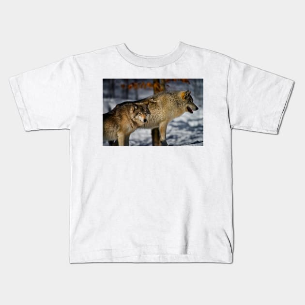 Timber Wolf Kids T-Shirt by jaydee1400